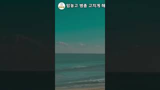 맘놓고 병좀 고치게 해주세요 #책도리 #건강 #한의학 #장수 #정신건강 #명언 #치유 #자기계발 #영성 #노화