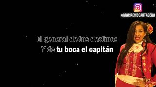 KARAOKE Camino De Rosas - Alejandro Sanz