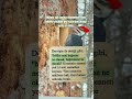 Rabbim ne güzel yaratmış Rabbime yakın sevdiğine yakın olmak duasıyla Amin
