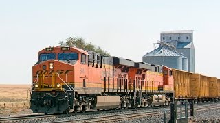 Trains In Washington BNSF Herzog