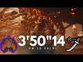 [MH Wilds] 9 ⭐Ajarakan  - LS  Solo -  3'50