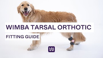 WIMBA Tarsal Orthotics - Fitting Guide