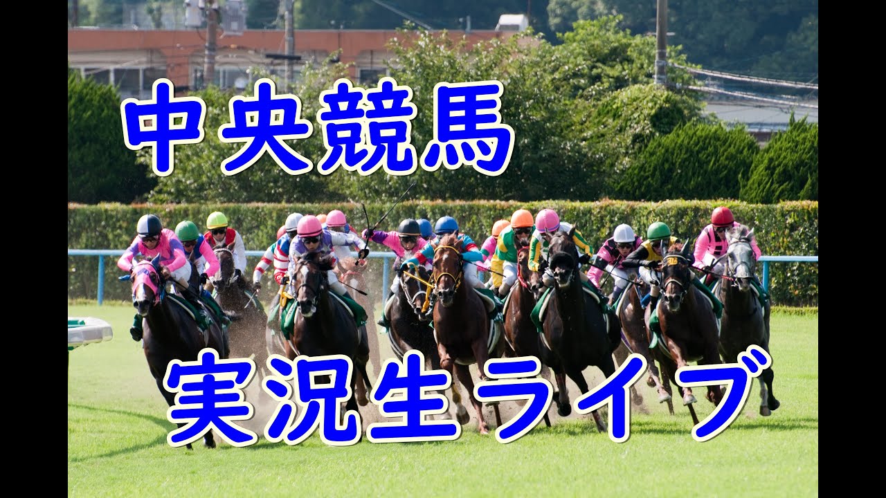 浦和 競馬 ライブ 中継