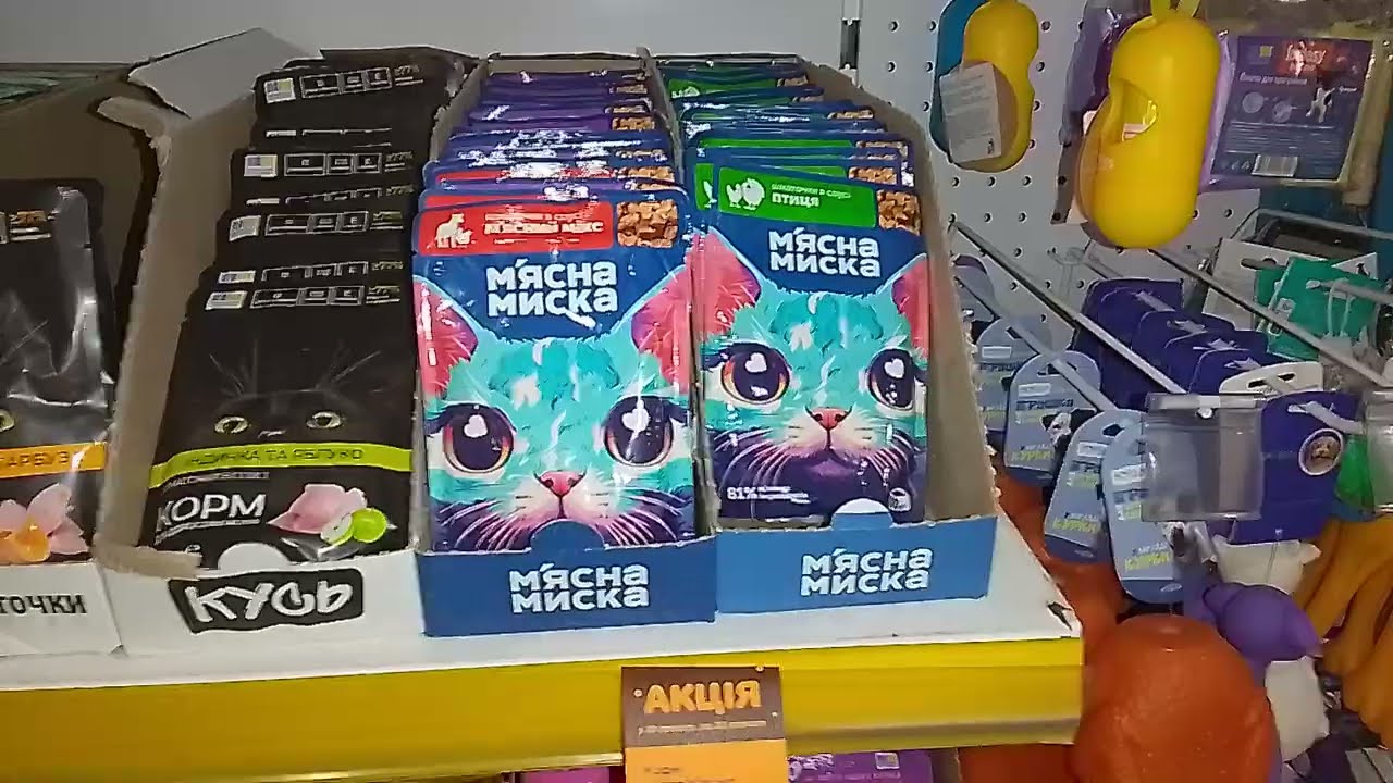 ЦЕНЫ В МАГАЗИНЕ!🥰ОЛЕДЕНЕНИЕ В ГОРОДЕ!🥶ВСЕ НАКОРМЛЕНЫ!😼🍗🌳