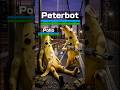 "Peterbot"のIQプレイ #フォートナイト #fortnite #解説 #peterbot #pollo