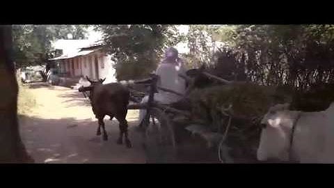 Training by L&T for shuttering