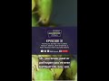 🌱Seedlings from Episode 31: Pest Nightmares!🌱