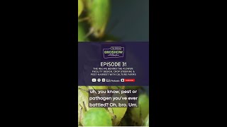 🌱Seedlings from Episode 31: Pest Nightmares!🌱