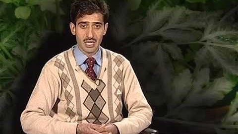 Selaginella: morphology, anatomy and reproduction