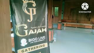 Gatring Bigo Gajah Management