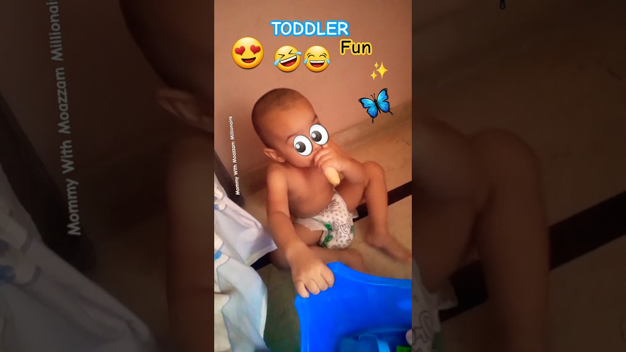 Toddler Fun at Home | Toddler Moazzam | Playing 