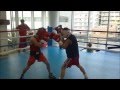 Naoya Inoue vs Toushou Kashiwazaki 怪物・井上 尚弥vs全日王者・柏崎刀翔 リアル2のガチスパー