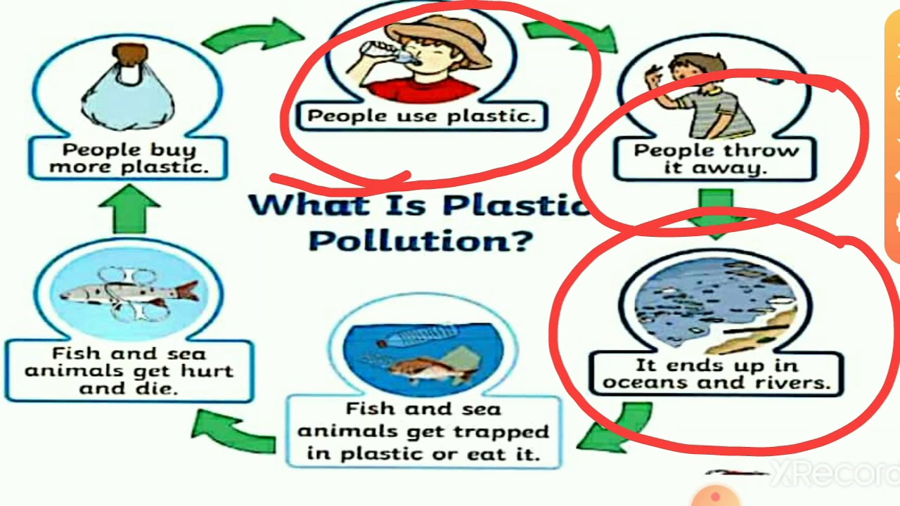 CBSE class 8 synthetic fibres and plastics, plastics and the
