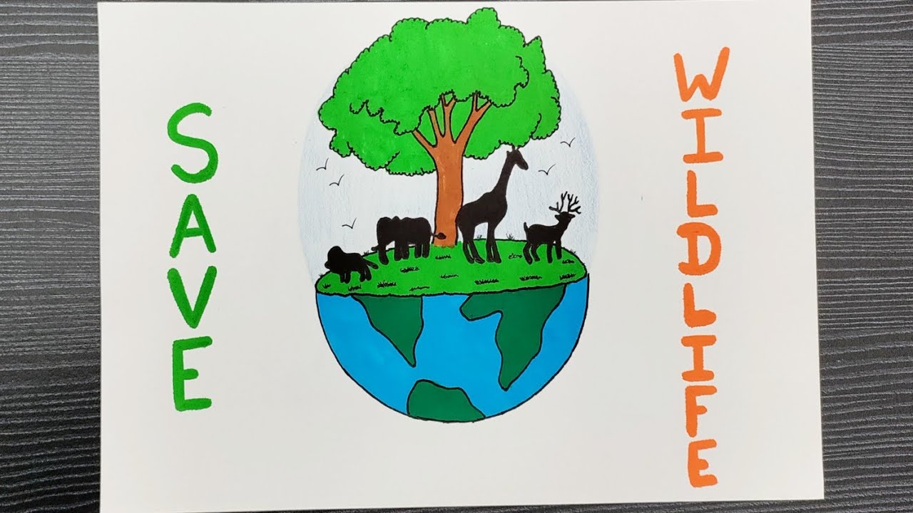 Save Wildlife Poster Drawing // How To Draw Save Wildlife Poster // Step By  Step // Poster Drawing - YouTube