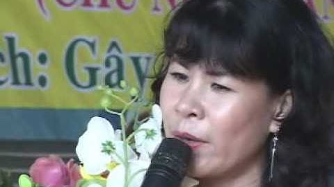THY  CA MPEG2 DVD NTSCHigh Speed MPEG1 VCD NTSC