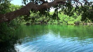 Cenotes HD