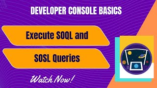 Salesforce Trailhead - Execute SOQL and SOSL Queries