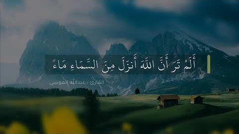 ﴿ألم تر أن الله أنزل من السماء ماء فتصبح الأرض مخضرة إن الله لطيف خبير﴾ | القارئ عبدالله الموسى