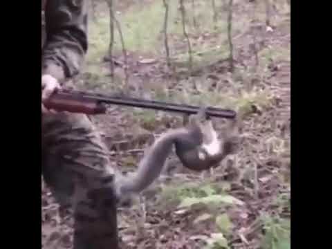 Видео: Какво е скуката и как да я избегнем