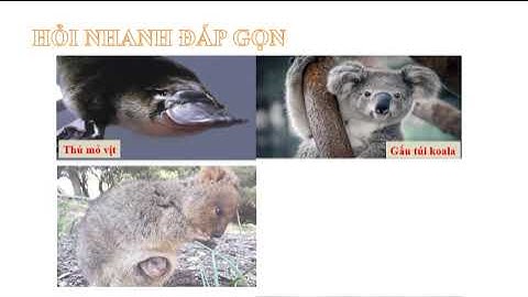 BÀI 21. PHƯƠNG THỨC CON NGƯỜI KHAI THÁC, SỬ DỤNG VÀ BẢO VỆ THIÊN NHIÊN Ở Ô-XTRÂY-LI-A