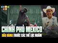 MEXICO ĐẦU HÀNG TRƯỚC BĂNG ĐẢNG | NGƯỜI DÂN NỔI DẬY BIỂU TÌNH, CHÍNH PHỦ CŨNG KHƯỚC TỪ