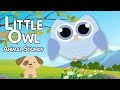 Little Owl - Animal Sounds | Video for Kids | Children | Toddlers
