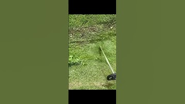 Satisfying weed wacking ditch!