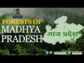 MP GK Class 3 | Forests of Madhya Pradesh for MP ADPO, MPPSC, VYAPAM & All MP Competitive Exams🎯