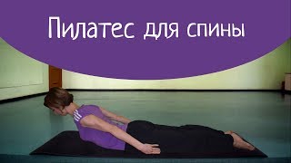 Пилатес для спины |Люблю фитнес Пилатес для спины |Люблю фитнес