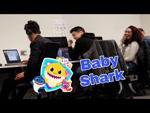 playing-baby-shark-in-the-library-گۆرانی-كوردی-له‌-كتێبخانه‌