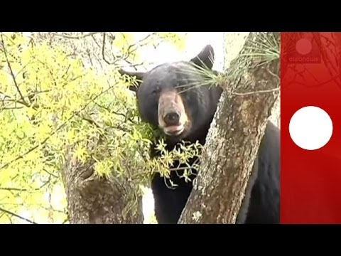Давайте здесь болтать, а то засиделись в Первый раз в первый класс : )