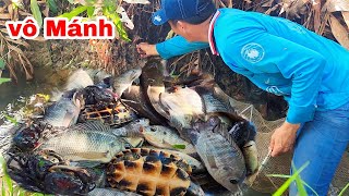 Trúng Mánh Với Cái Lú Cùng Với Cái 12 Cửa Ngục Cá Nhiều Xách Không Nổi | TTVlog # 114