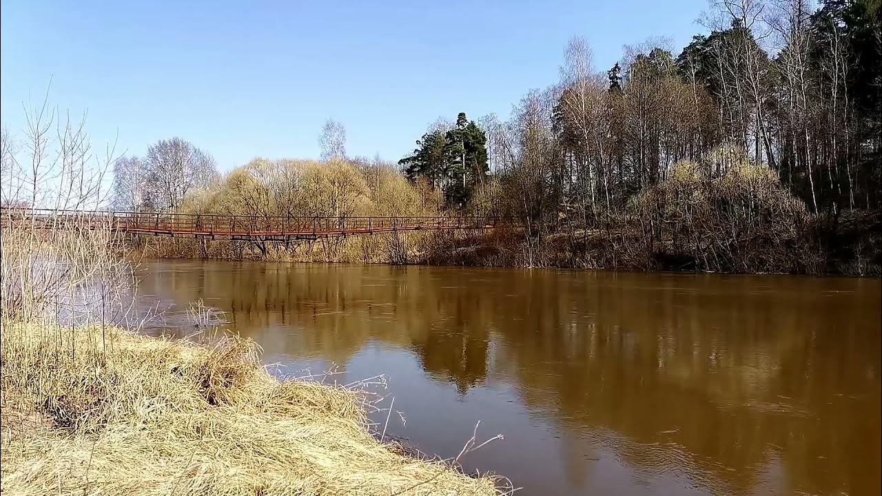 Половодье 2021 река Луга, апрель19. ледоход украл ремонт. - YouTube