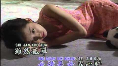 Hokkian Song - 攏是為著你啦 Long Shi Wie Tio Li La