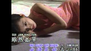 Hokkian Song - 攏是為著你啦 Long Shi Wie Tio Li La