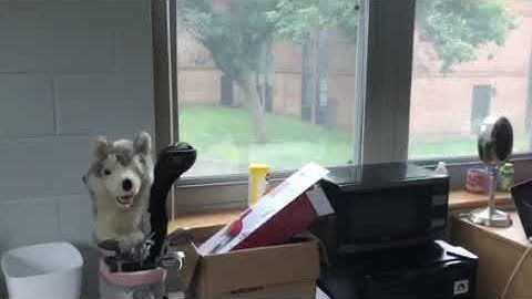 Widener University Dorms - Metropolitan Hall Dorm Room Tour