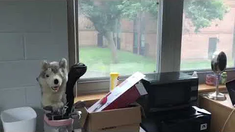 Widener University Dorms - Metropolitan Hall Dorm Room Tour