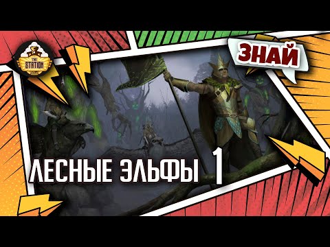 Видео: Лесные эльфы часть 1 | Знай | Warhammer Fantasy