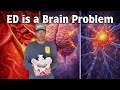 Anatomy of the Pelvic Floor: &amp; How to Fix Erectile Dysfunction &amp; Pain with Sex Fast- Part 3