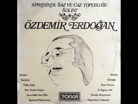 Özdemir Erdoğan - Sivrisinek Saz ve Caz Topluluğu (Original LP 1973)