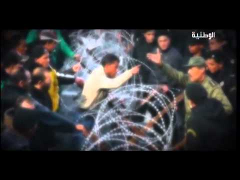 New Nour Chiba Ye Weld Bledi نور شيبا يا ولد