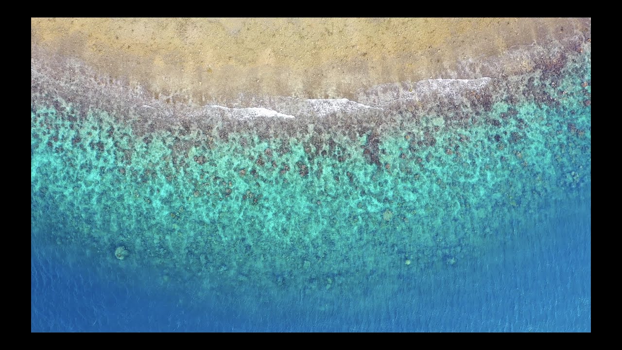 20 Minutes Deep Relaxation, Meditation, Stress Relief Calming Video -  Environmental footage