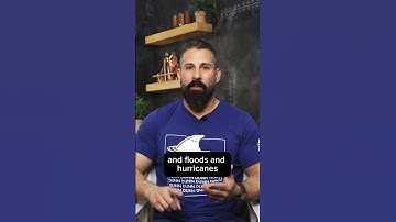 If you home has smoke damage, watch this