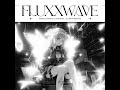 Fluxxwave  1 hour