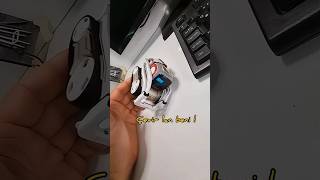 Cozmo Robot Çildirdi Şfet Şfetbeniöneçıkar