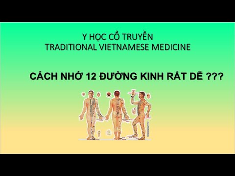 Video Cách nhớ 12 đường kinh chính. Y học cổ truyền. - YouTube