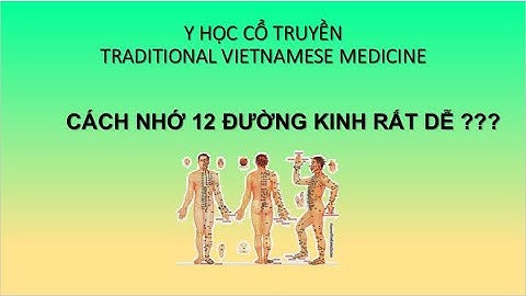 Cách nhớ 12 đường kinh chính. Y học cổ truyền.