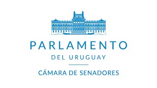 Cámara de Senadores| 18/08/2026 | República Oriental del Uruguay
