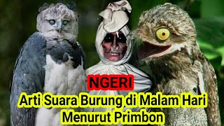 Download Lagu Ngeri, Ini Arti Suara Kicau Burung DiMalam Hari Menurut Primbon MP3 Download Lagu Ngeri, Ini Arti Suara Kicau Burung DiMalam Hari Menurut Primbon MP3