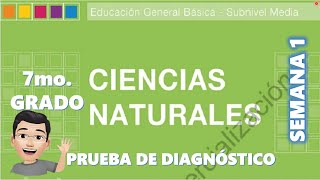 NATURAL SCIENCES DIAGNOSTIC TEST / 7TH GRADE / WEEK 1